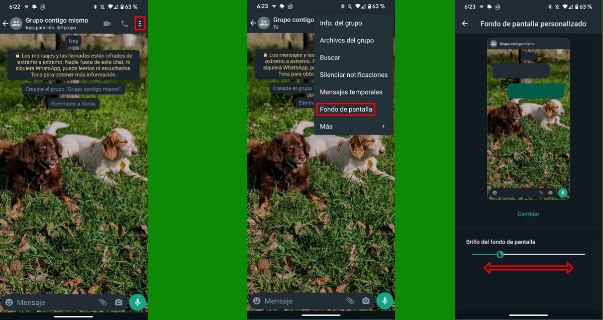 WhatsApp fondo pantalla-galeria4
