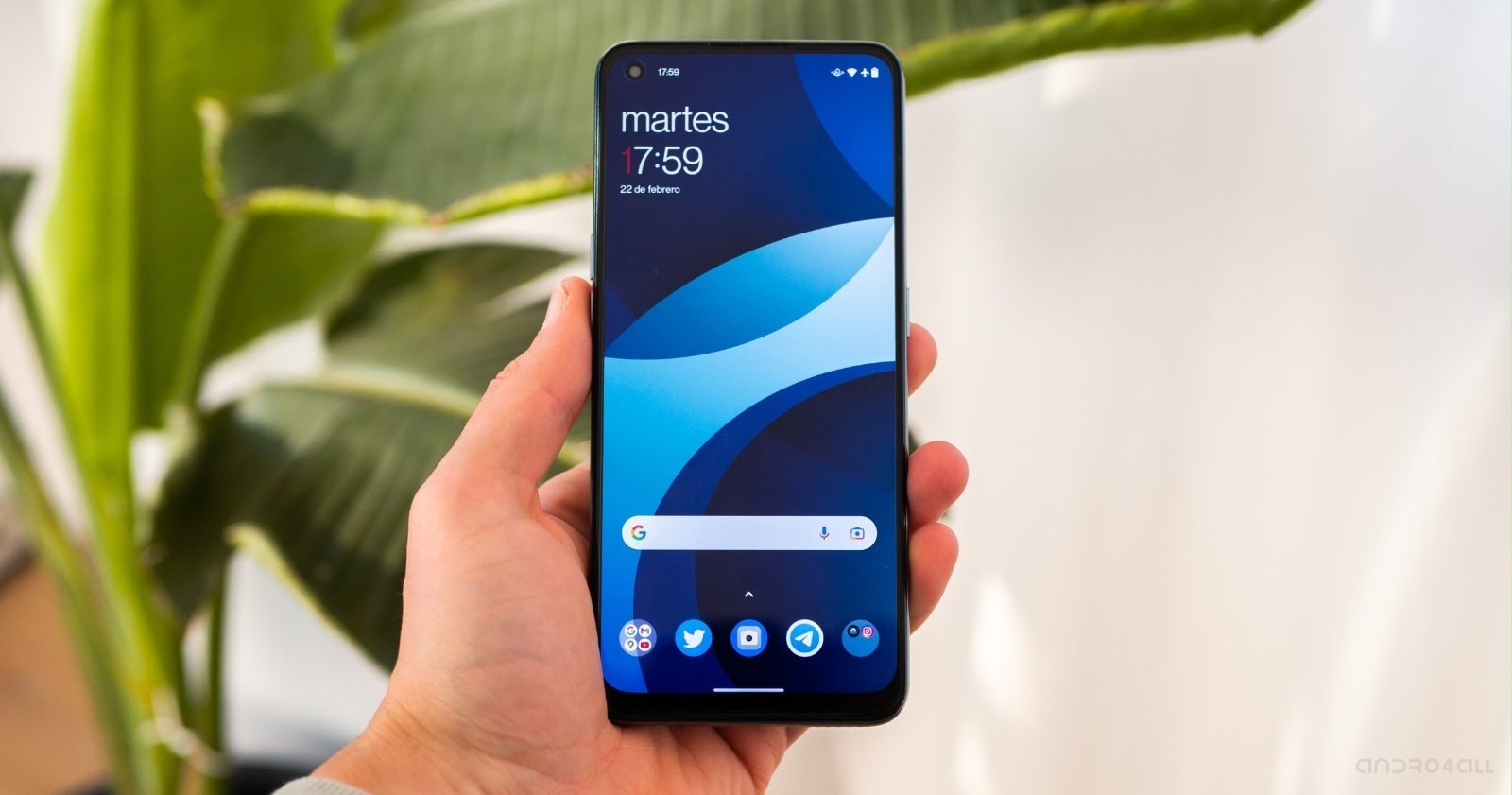 OnePlus Nord CE 2 5G, pantalla