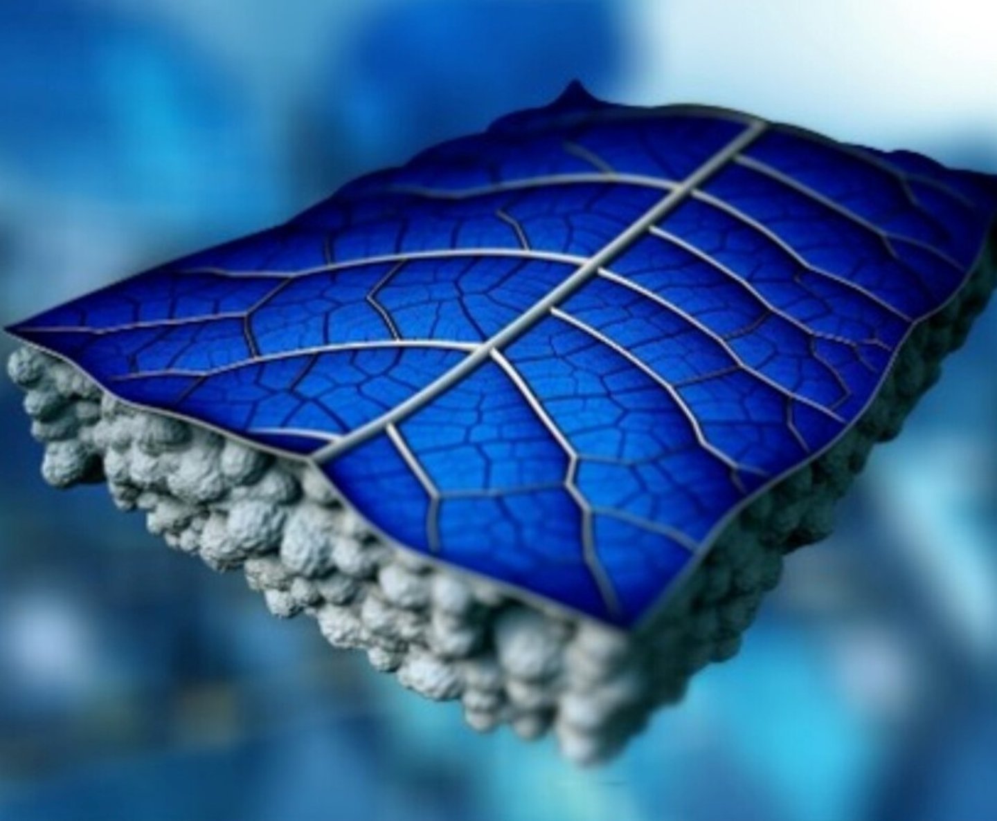 Esta hoja de árbol fotovoltaica puede revolucionar el mundo de la energía y generar agua dulce