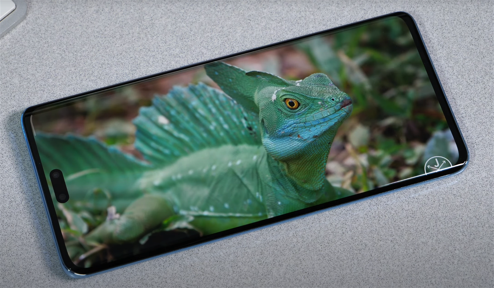 Xiaomi 13 Lite pantalla