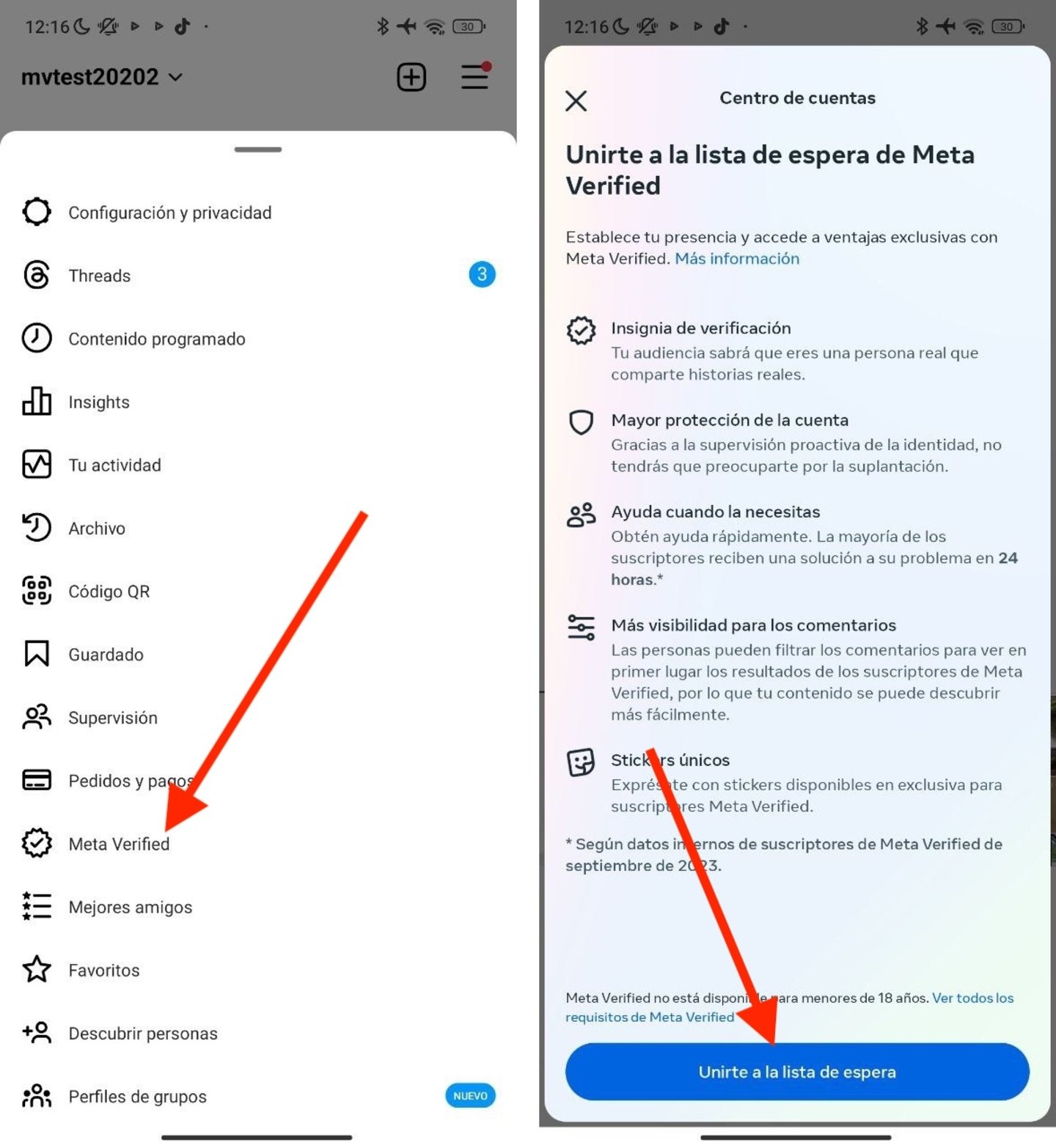 Cómo verificar una cuenta de Instagram paso a paso