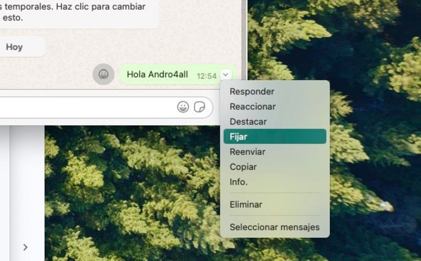Cómo fijar un mensaje en WhatsApp paso a paso
